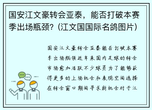 国安江文豪转会亚泰，能否打破本赛季出场瓶颈？(江文国国际名鸽图片)