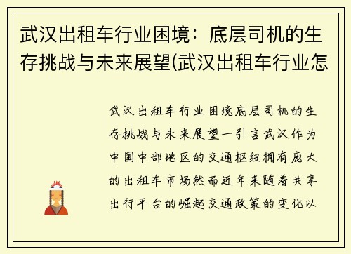 武汉出租车行业困境：底层司机的生存挑战与未来展望(武汉出租车行业怎么样)