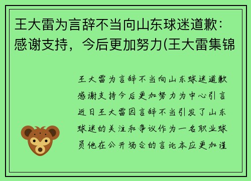 王大雷为言辞不当向山东球迷道歉：感谢支持，今后更加努力(王大雷集锦)