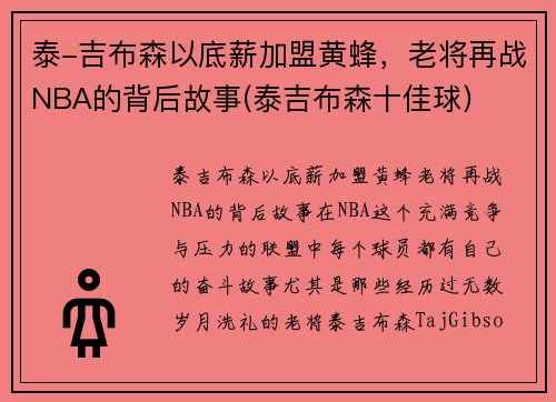 泰-吉布森以底薪加盟黄蜂，老将再战NBA的背后故事(泰吉布森十佳球)