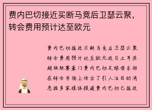 费内巴切接近买断马竞后卫瑟云聚，转会费用预计达至欧元